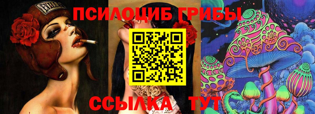 Горячий Ключ  Псилоцибиновые грибы Psilocybe  Вход с VPN  Галлюциногенные грибы Psilocybe 
